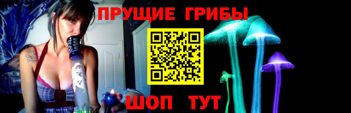 Будённовск  что такое   Вход с VPN  Псилоцибиновые грибы GOLDEN TEACHER 