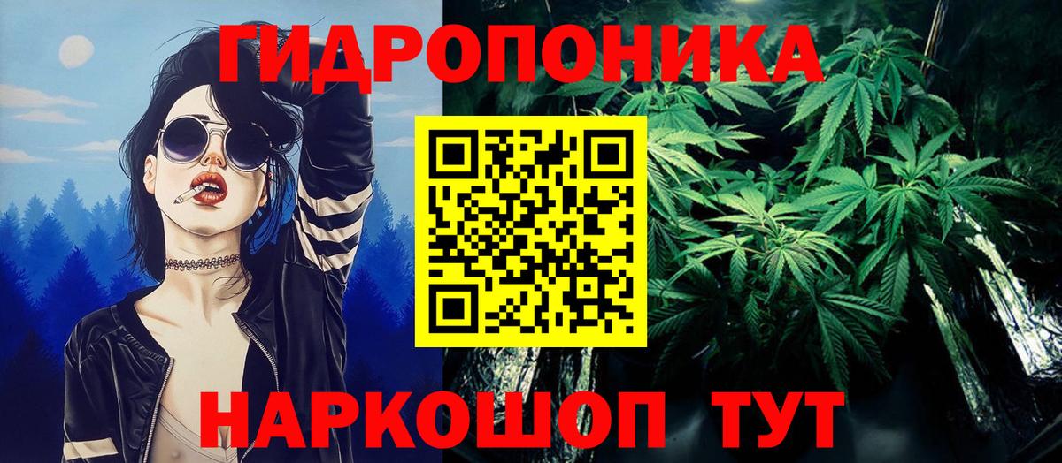 Конопля сатива Будённовск